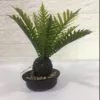 "Fresh and clean plants" Specification image